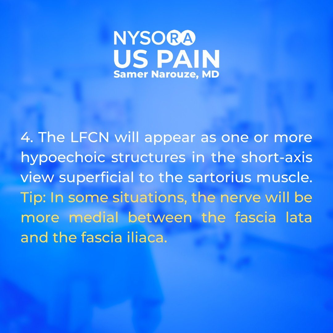 NYSORA's tweet photo. We want to share with you 4 tips to scan for an #LFCN block successfully. In NYSORA's US Pain app, you can find many other tried-and-true tips used by US pain experts with decades of experience. Download here: https://t.co/Ngursfk4Ry
#ultrasound #PainBlock https://t.co/vksm5aQtWw