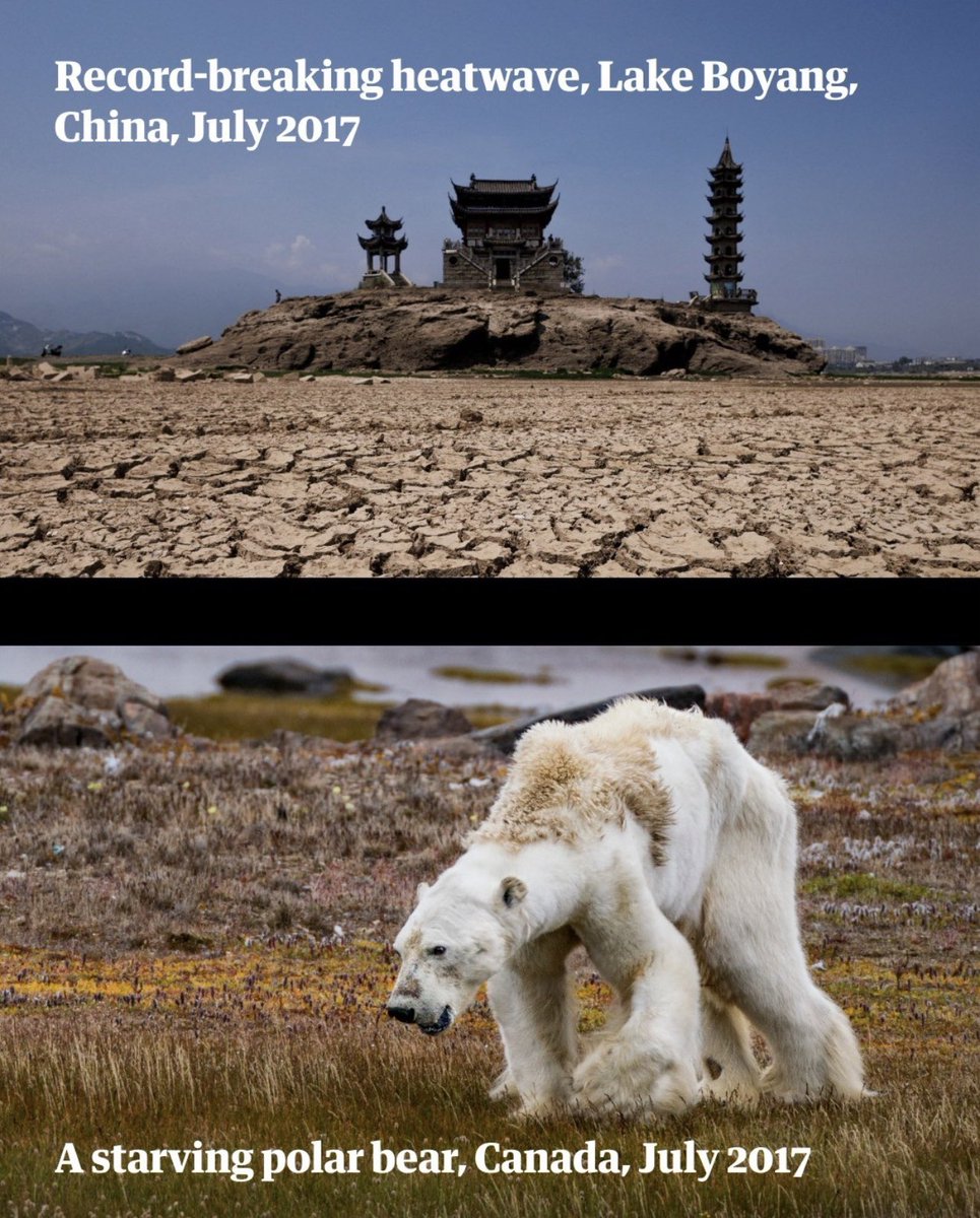 Varför är det här inte vår tids största historia?