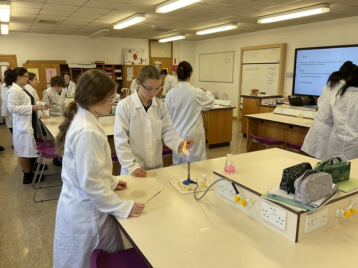 NorthamptonHigh's tweet photo. Year 10 scientists are building skills in how to develop an uncontaminated culture of bacteria #STEM @NHSChemSTEM #WeCan #LearningTweets https://t.co/hzWLoQCR2q