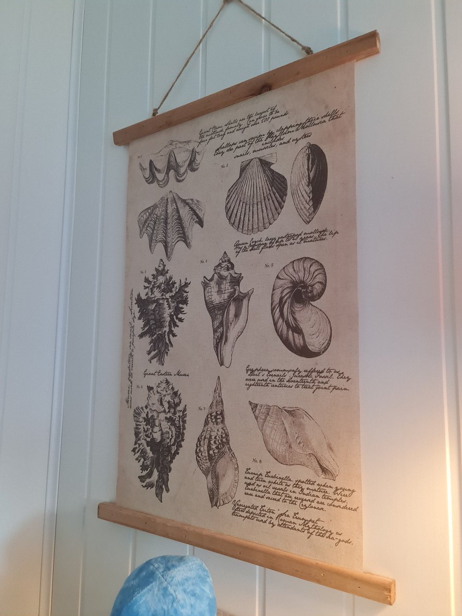 snailadil's tweet photo. Working from home is a delight because juat look at the decorations I have in this room ☺️🐌 https://t.co/WOfbUHNdvE
