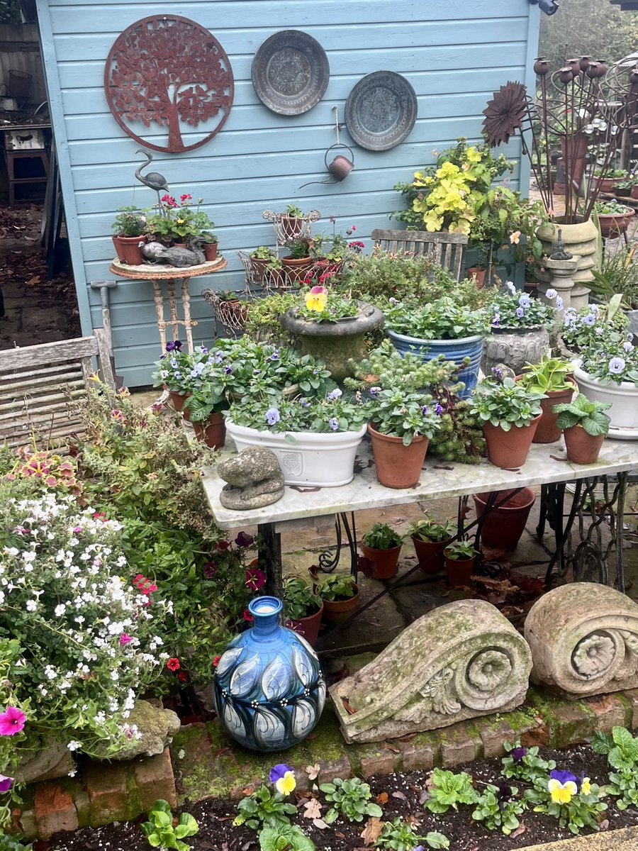 GardenBrocante's tweet photo. This is how it is this morning, shed side. Dull, drizzle,  but I’m hopeful it might brighten up later 🤞🤞 https://t.co/t9ulZJQnpM