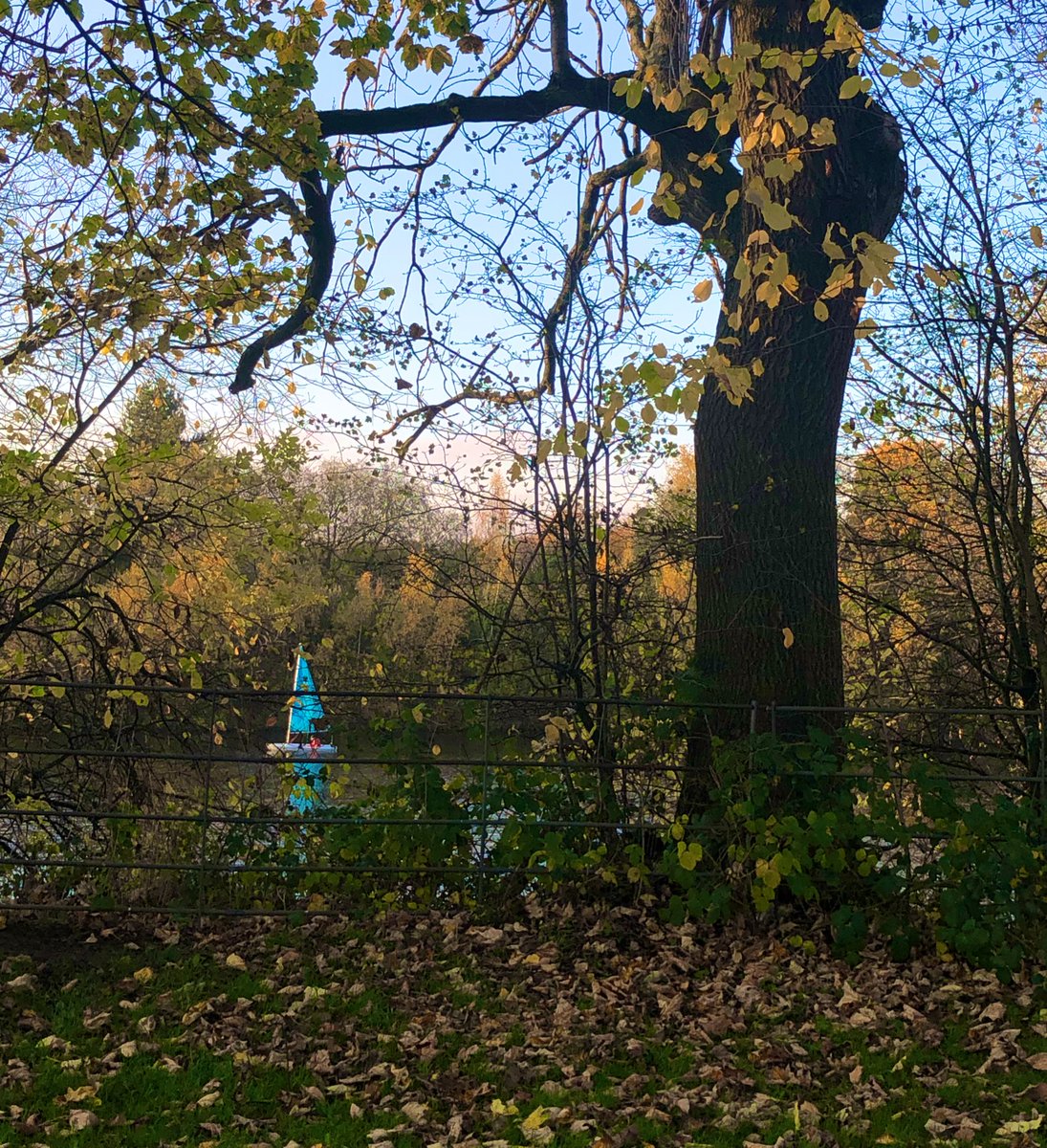 manishamistryy's tweet photo. Already missing the weekend and the lovely autumnal walk in #debdalepark #selfcare #mentalhealth #Walking https://t.co/WKmSjAGczl