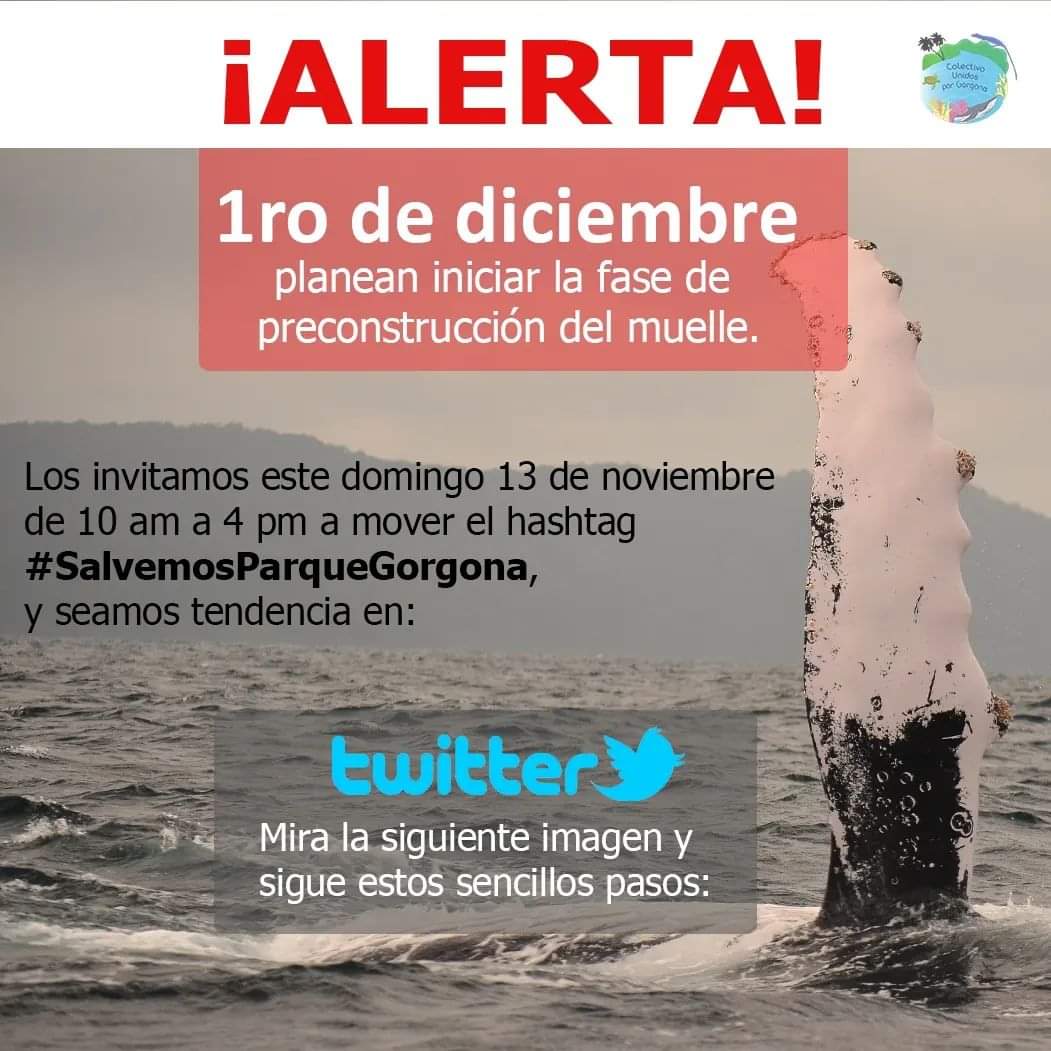Pedro Coral Tavera #Mompirri tweet media