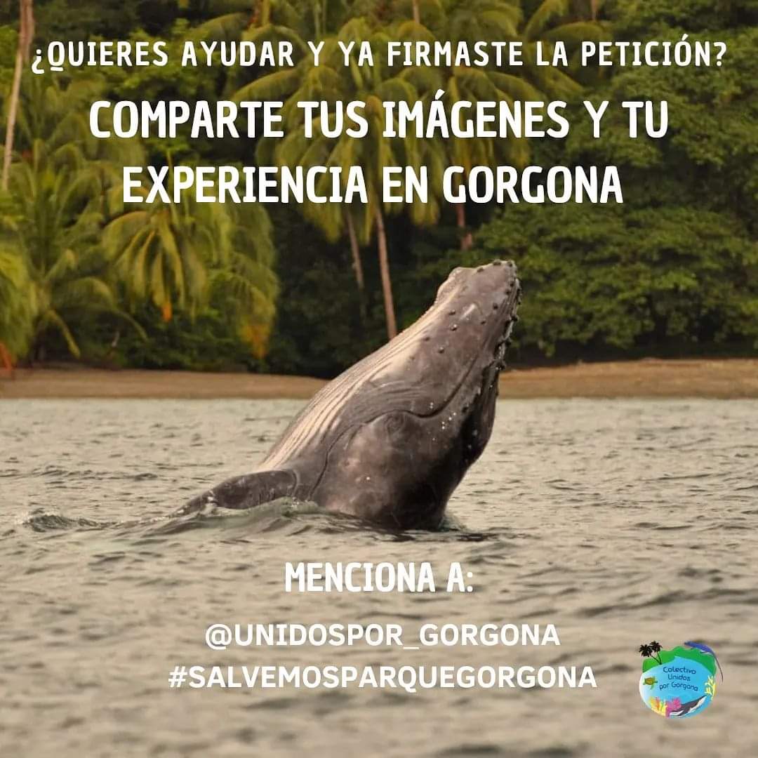 Pedro Coral Tavera #Mompirri tweet media
