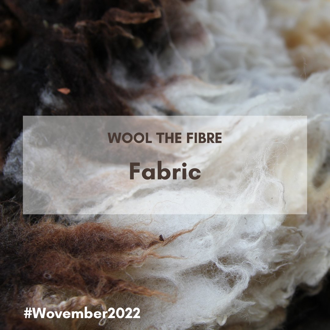 Wovember's tweet photo. 🐑 Day 14 of #Wovember2022 and it's time to look at the fabric of wool and show off your makes. 

#wovember #wearwool #mywooljourney #woolfabric https://t.co/9jVhtw7mEd