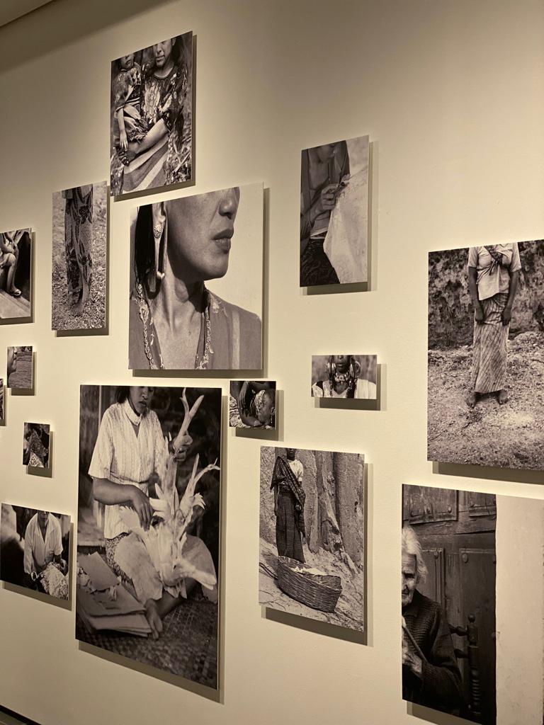 Museu Etnològic i de Cultures del Món tweet media