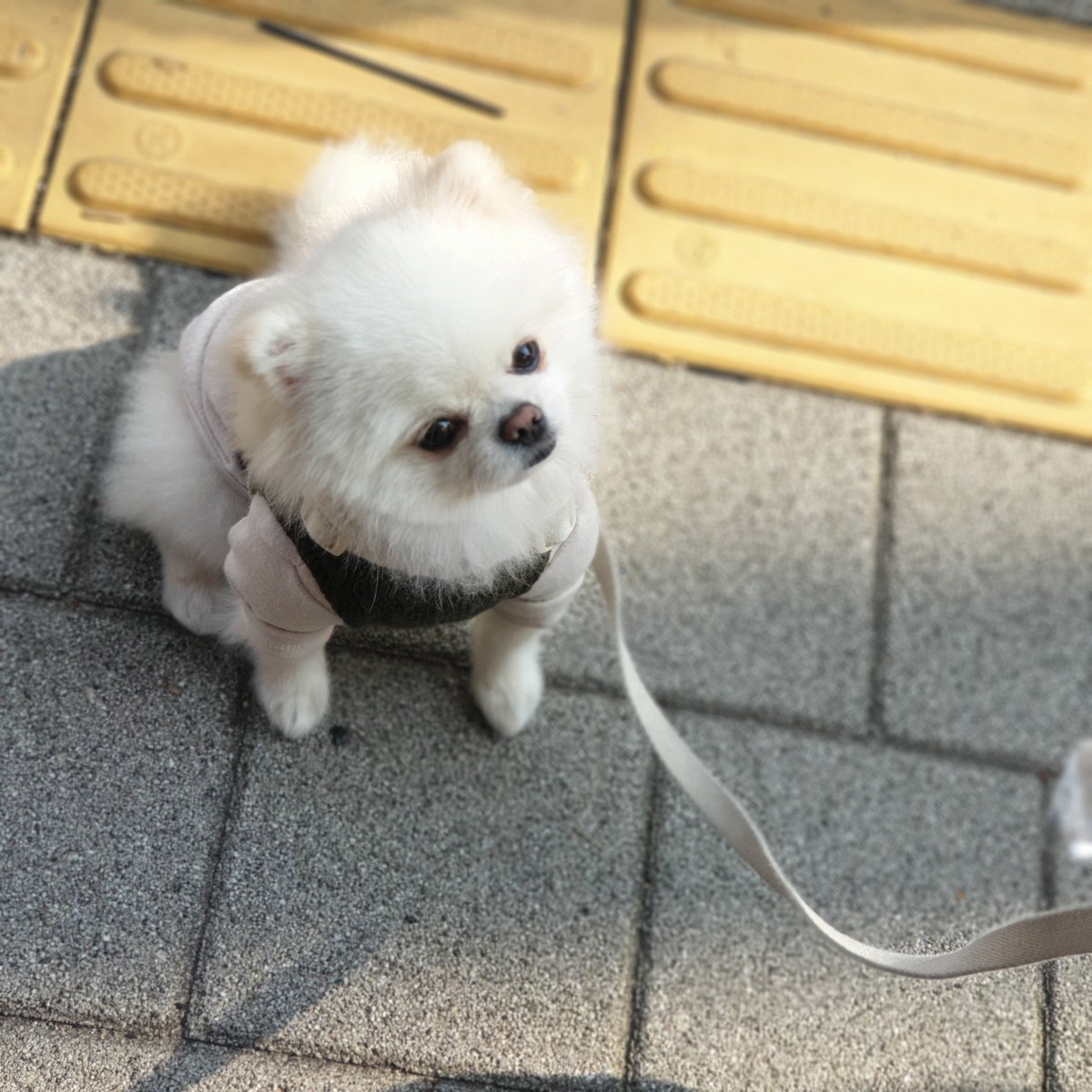 Carrot_ow_'s tweet photo. https://t.co/MyDxw6h3B3