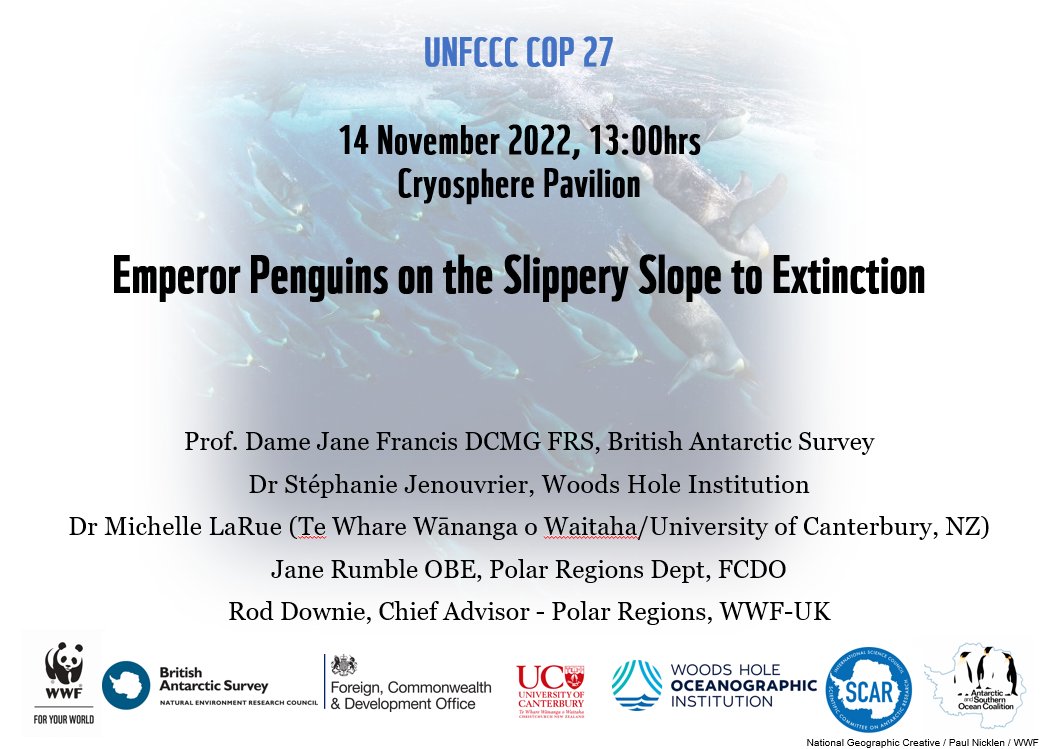 Antarctic ice-associated marine species and ecosystems face an uncertain future. Follow all about 'Emperor Penguins on the Slippery Slope to Extinction' at #COP27 
youtube.com/channel/UCr_TP…
twitch.tv/cop27cryospher…
youtube.com/channel/UCXpj1…