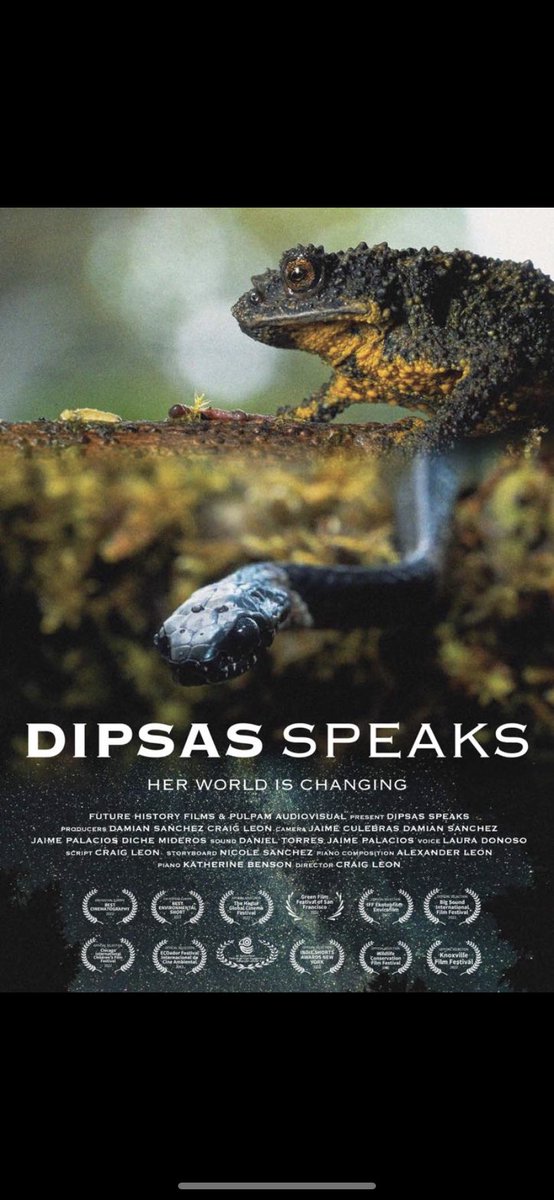 EmbajadaEcuNL's tweet photo. 🇪🇨 Short Film “Dipsas Speaks” won the prize for best #Environmental Film at the International Film Festival of The Hague 2022. Amb. Andrés Terán Parral @AtpTeran was there to receive the prize on behalf of Director Craig Leon. @CancilleriaEc @HagueWorld https://t.co/qiQiemTry0 https://t.co/cAMUYtWODb