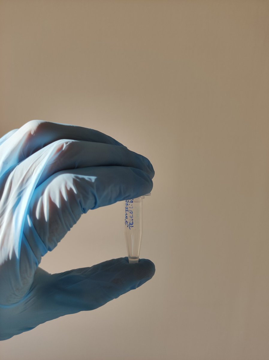 Just on time for the one year anniversary of starting my PhD, I sent off the last tests for the project. Never fails to amaze me how countless plates turn into one tube and then into taxa lists uncovering biodiversity trends of the past 18 years 🐟🦞🪱🦫🦢 <a href="/leeselab/">Florian Leese</a> <a href="/trend_dna/">TrendDNA</a> 📉