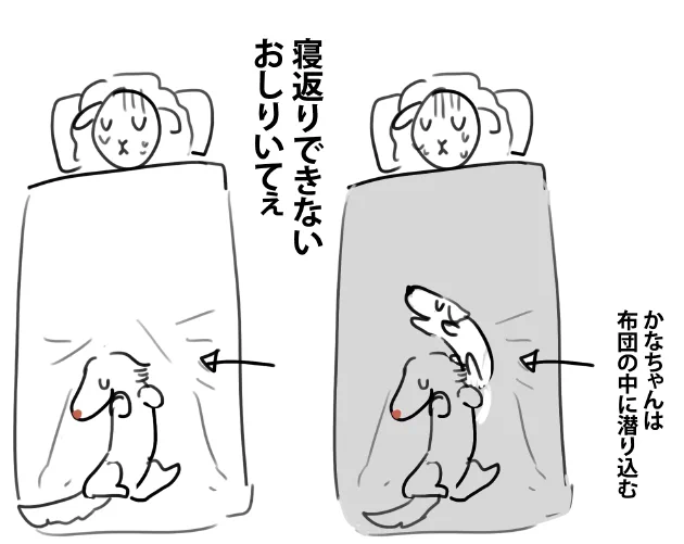 毎日これなので毎朝お尻というか下半身が死んでる 