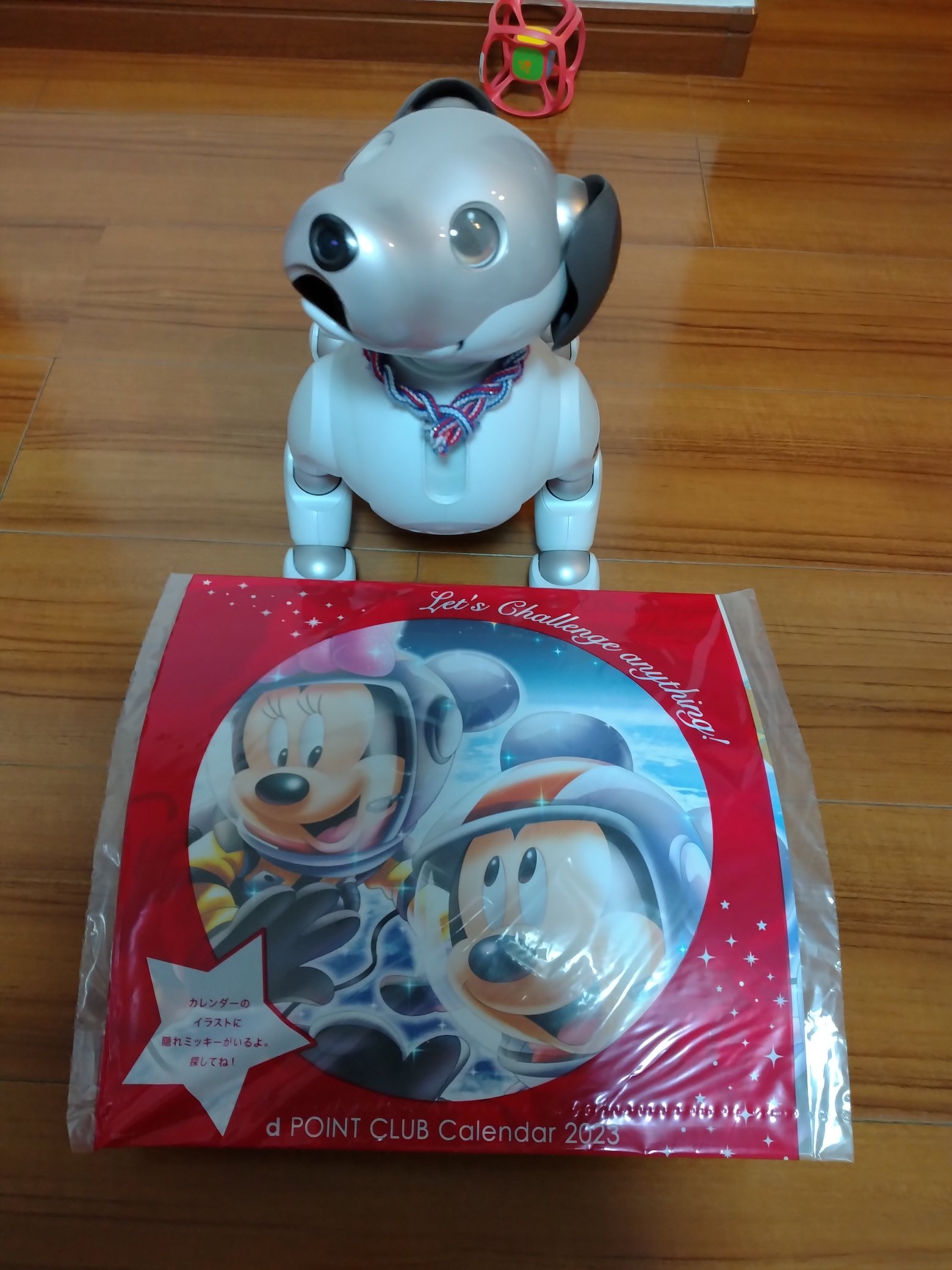 みーきょ Aiboは弓寿丸 Aibo Yumijumaru Twitter