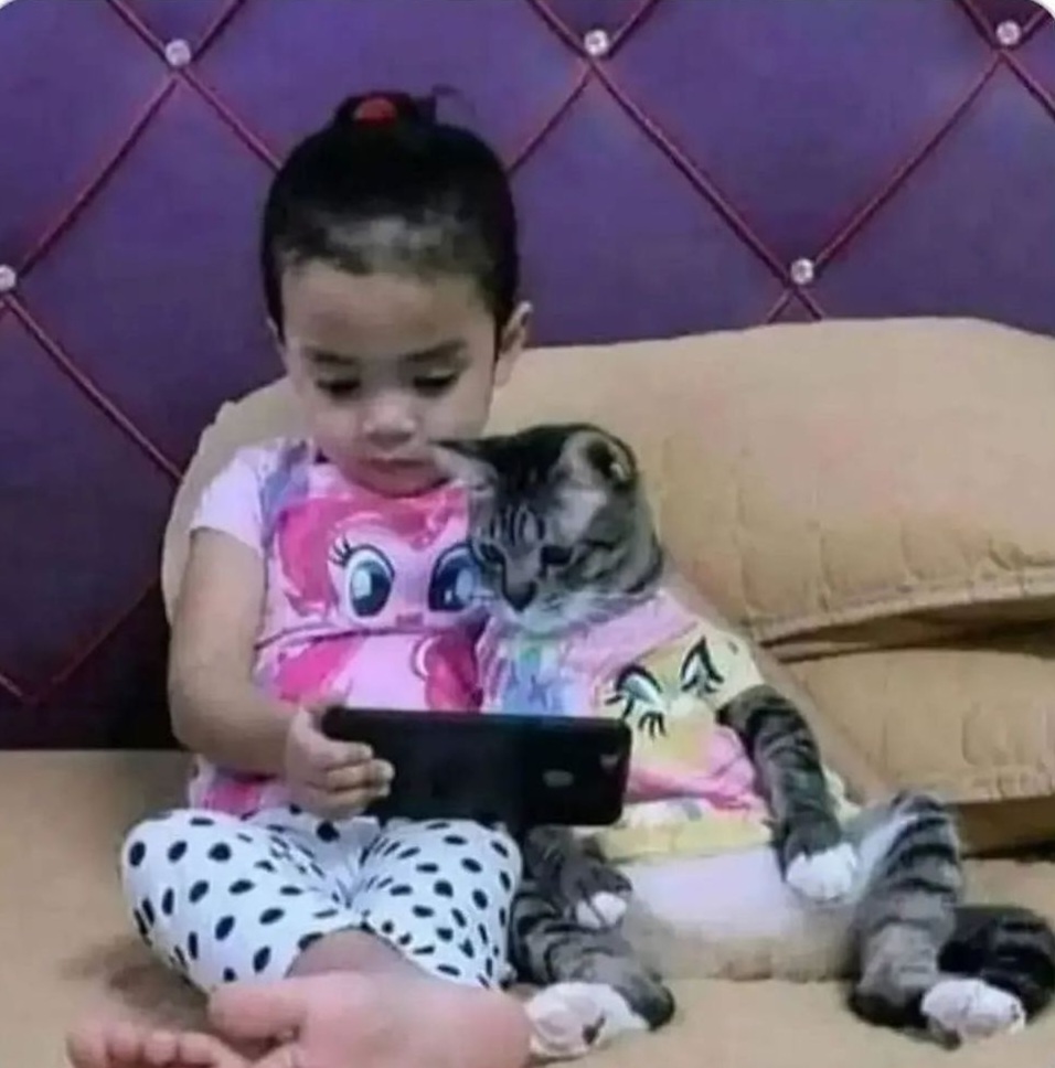 çocukları telefonla oynamayı bıraksın diye eve kedi almışlar ve son durum :)