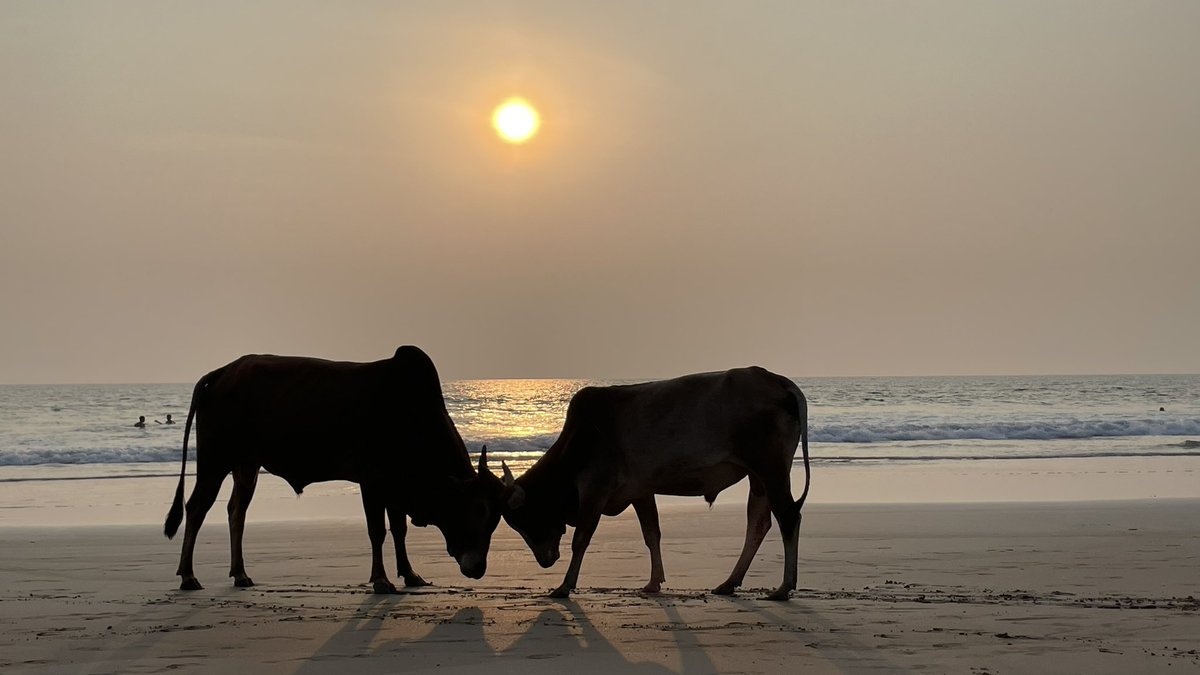 Ranjeet Kaile tweet media