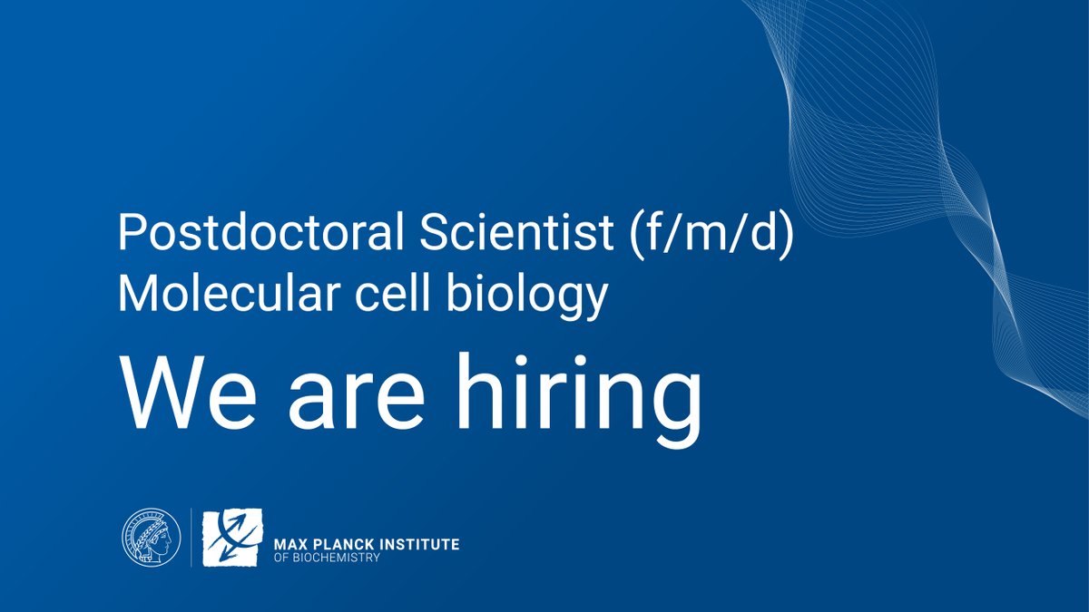 Are you a #PhD and looking for new challenges?
Do you want to join interdisciplinary projects on the regulation of #proteinsynthesis in health and disease?

We have a job for you! 💼
❕Apply until December 4th
❕mpg.de/19481534/postd…

#joboffer #PostDoc #MolecularCellBiology