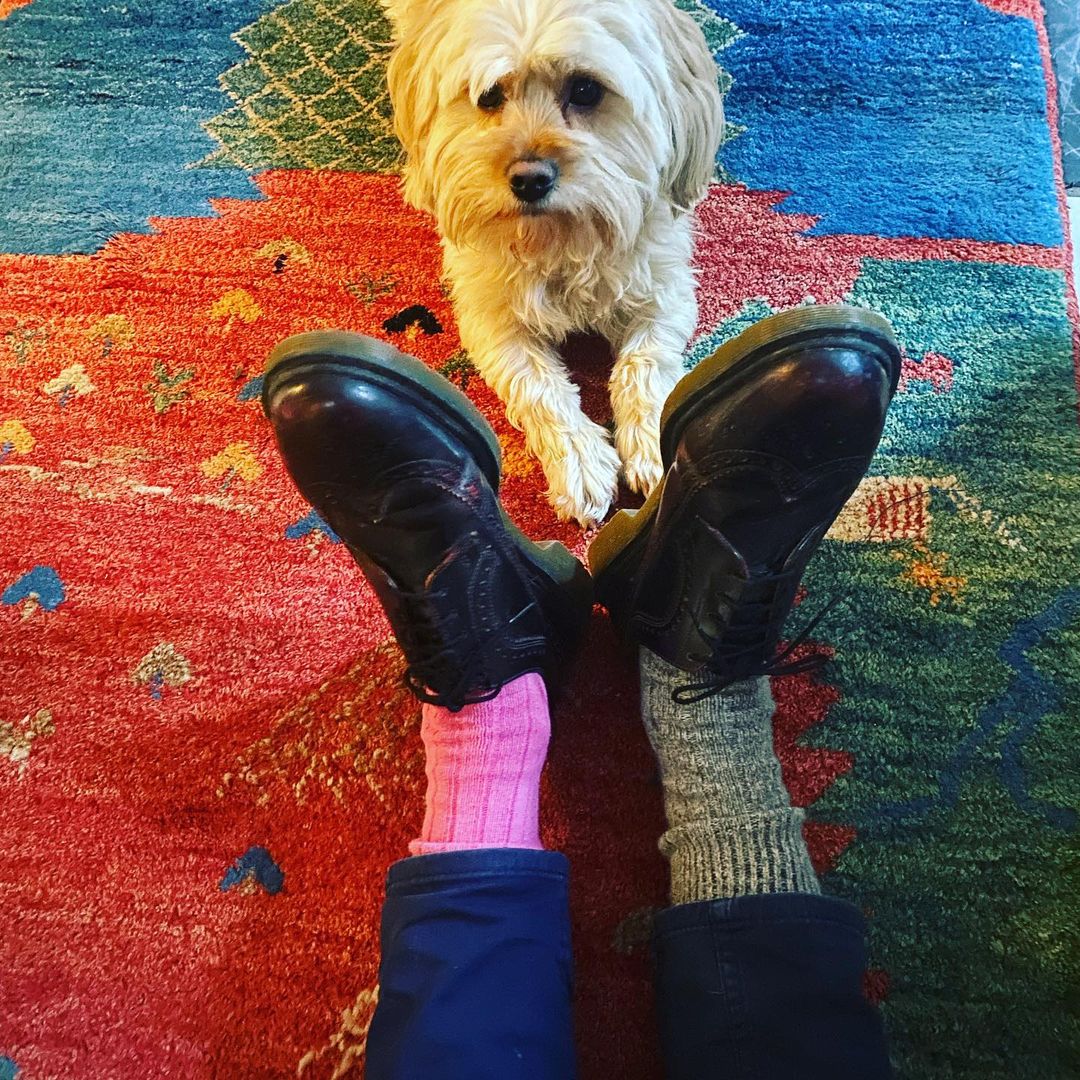 Quite Great tweet media