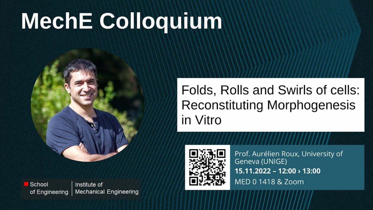 Interested in how #folds, #rolls and #swirls of #cells relate to #morphogenesis in #vitro? Join us tomorrow (Tue) at 12 pm GMT+2 for the #MechEColloquium talk from Prof. Roux. In-person: MED 0 1418, Zoom: sti.epfl.ch/research-insti… <a href="/EPFLEngineering/">EPFL School of Engineering</a> <a href="/EPFL_en/">EPFL</a> #AcademicTwitter