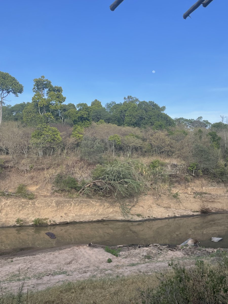 🇸🇰 enviro delegation concluded its visit to Kenya by an informal discussion with <a href="/OleNtutuK/">Governor Patrick Ole Ntutu</a> Governor of @NarokCountyGov1 at <a href="/EmbooCamps/">Emboo Camps</a>. Thank you for hospitality of your County 🤝we are looking forward identifying further areas of cooperation 🇸🇰🤜🤛🇰🇪