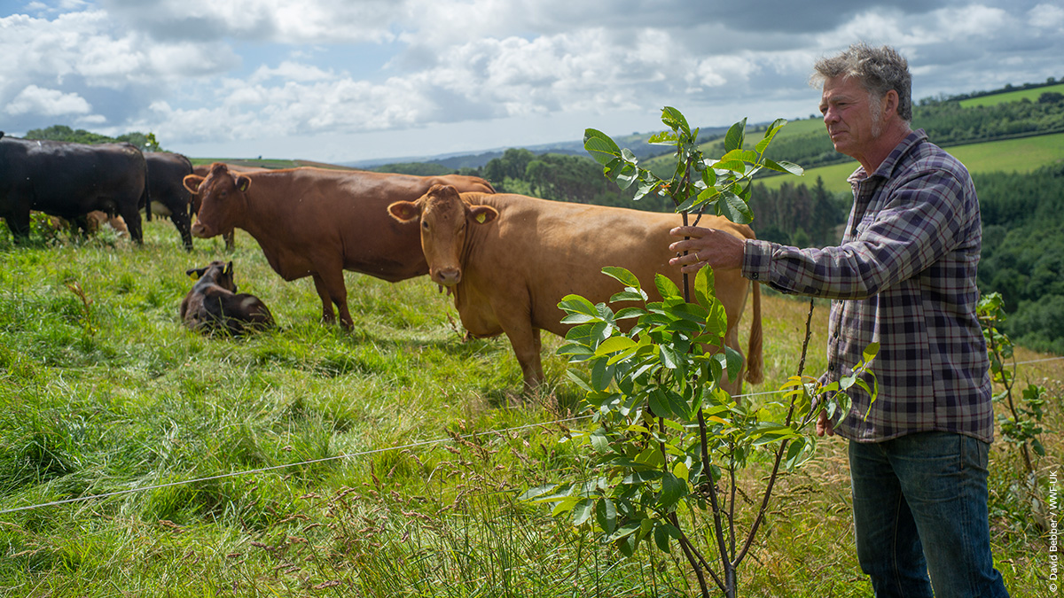 wwf_uk's tweet photo. Today, we're talking about #RegenerativeAgriculture 👨‍🌾

Regenerative agriculture means shifting from intensive agricultural practices to those that restore and improve the health of ecosystems and soils. It also helps to mitigate #ClimateChange! 🌱

Read on to see it in action 👇 https://t.co/7KSzyIAHLX