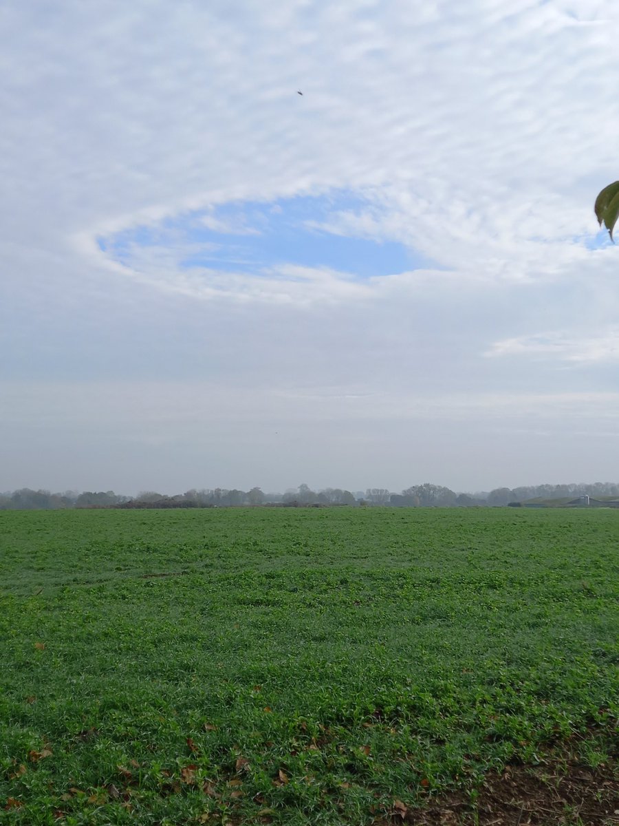 #fallstreakhole <a href="/ChrisPage90/">Chris Page - Weatherman</a> taken yesterday <a href="/WeatherAisling/">Aisling Creevey</a> <a href="/AngliaWeather/">Anglia Weather</a>