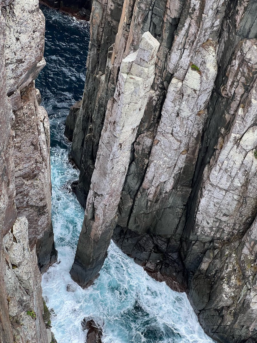 TassieObGyn's tweet photo. #ThreeCapes you were AMAZING
We had all weather (except snow) in true Island style, had fabulous company, & hiked 48KM of stunning Tasmanian coastline.
#Tasmania
#LoveWhereYouLive https://t.co/xz3j6p609S