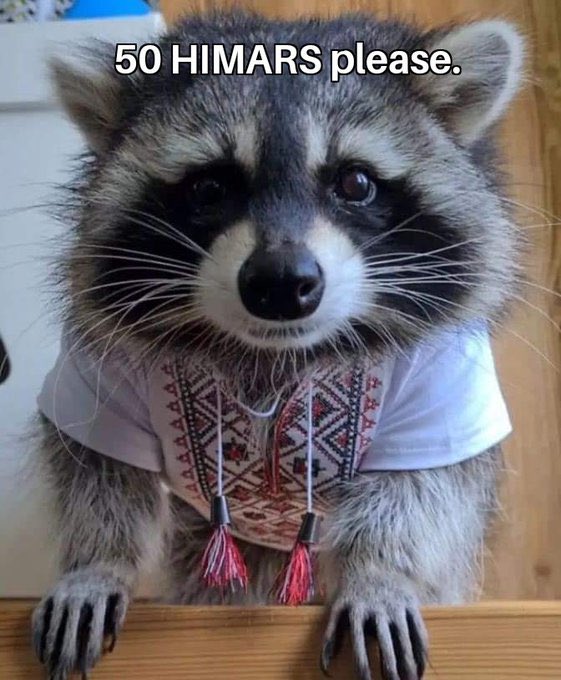 While running away from Kherson, russian soldiers have stolen a raccoon from the zoo. We want our raccoon back.
#RussiaLooter
photo borrowed from <a href="/MargoGontar/">Margo Gontar 🔱</a>