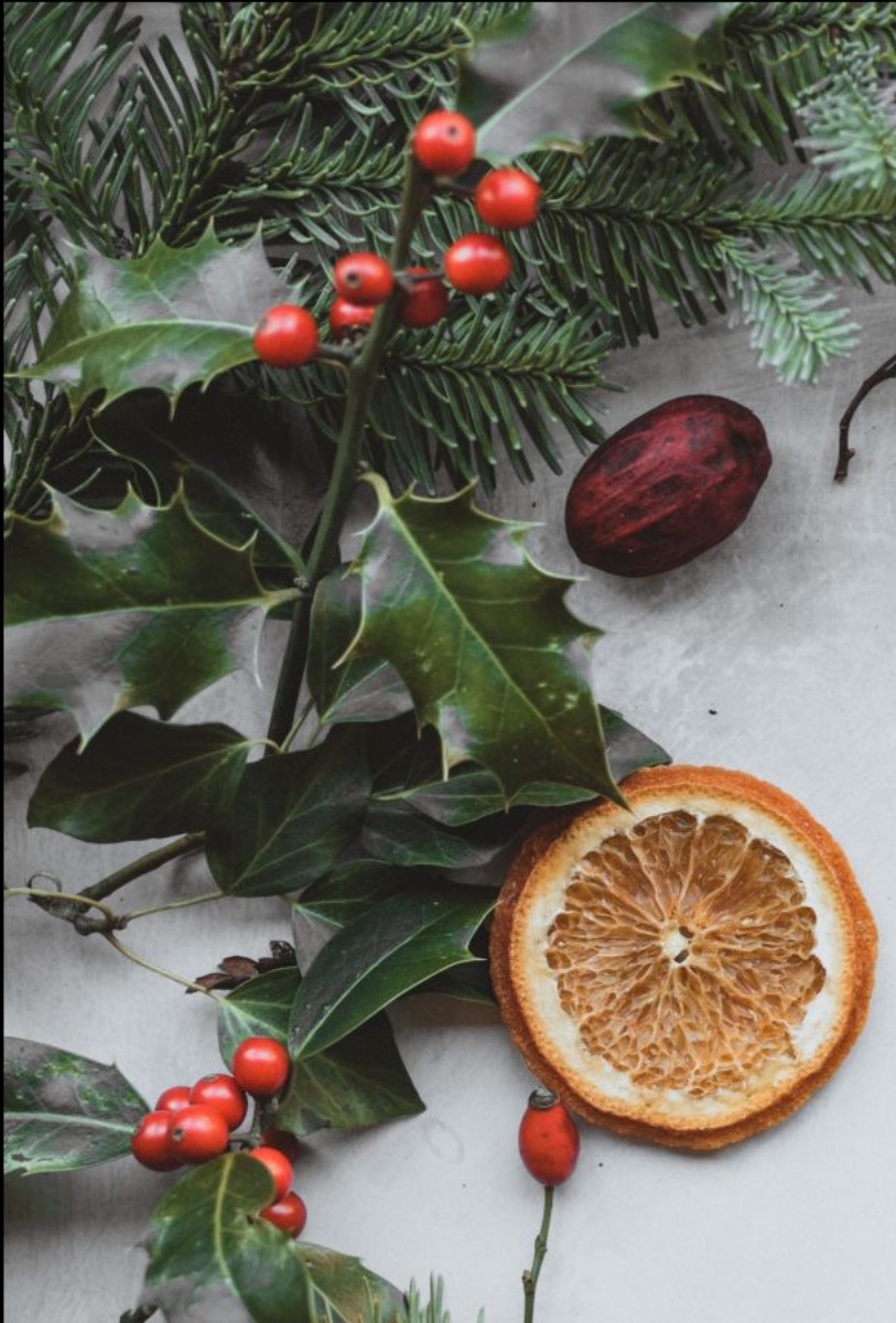 Genoeg Nieuwsbrief - Genieten van geven 🌳 - eepurl.com/idDYbP