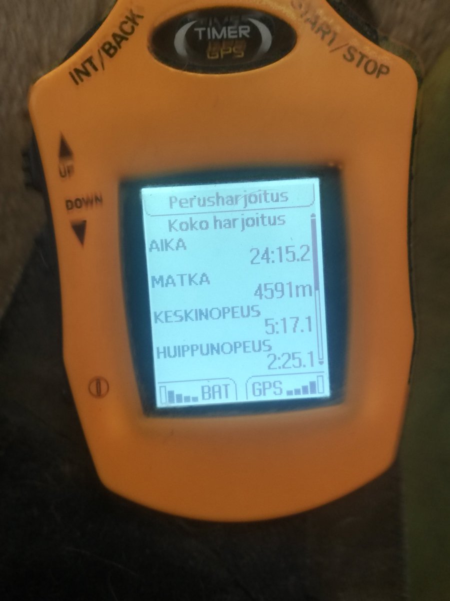 ElinaPartanen's tweet photo. Onkohan tässä kyseessä lupaava sh-tammavarsa 🤔 ikää 1 ja 1/2 vuotta.

#CastellaHem #suomenhevonen #suomentamma #shtamma #shvarsa #tulinentamma #tammaisollateellä https://t.co/ykjQ3t5TAT