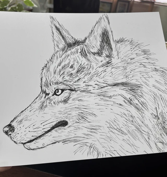 狼を描いたんだ🐺 