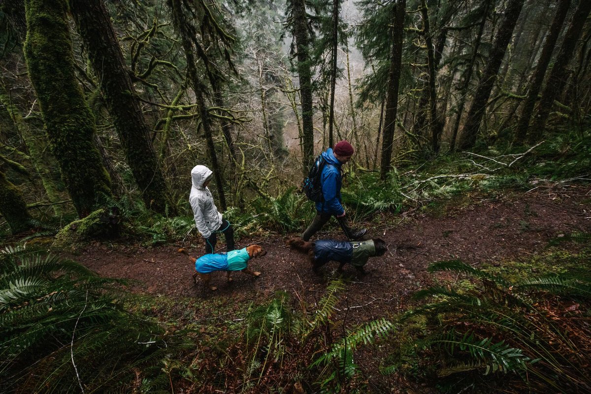 Rain, rain, come our way 🌧☔️

The Sun Shower waterproof shell was designed to embrace every drizzle and downpour, so you and your dog can, too. #ruffwear #rainyday