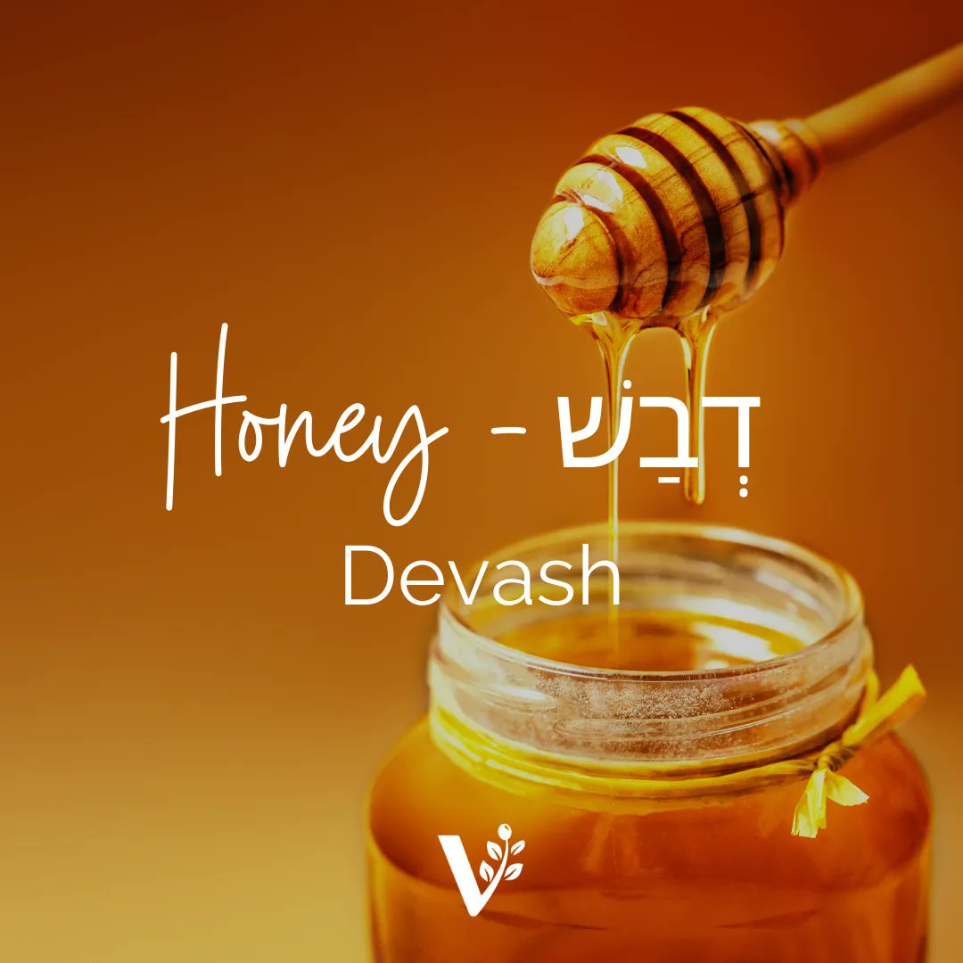 BarrySegalVFI's tweet photo. Honey - דְבַשׁ - Devash
"So I have come down to deliver them out of the hand of the Egyptians, to bring them up out of that land into a good and large land, a land flowing with milk and honey" - Exodus 3:8
#visionforisrael #israel #hebrew #hebrewword #wordoftheday #bible https://t.co/DnZz6uaDz2