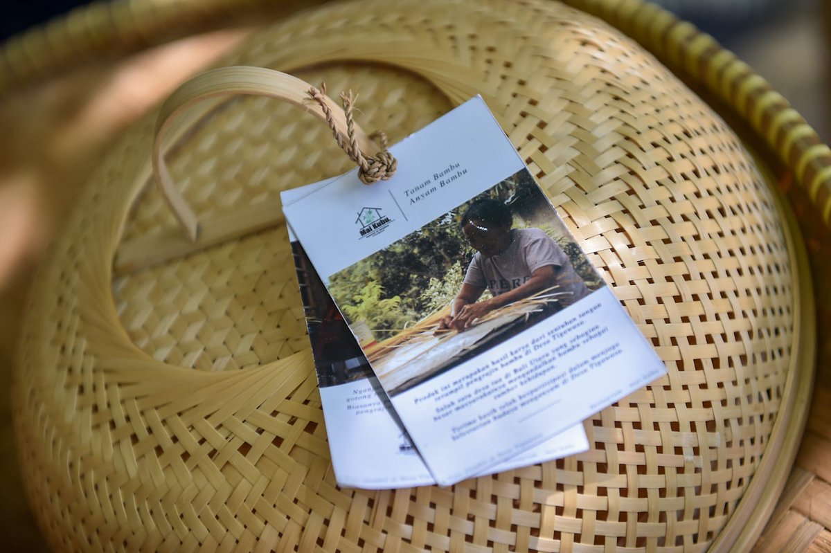 Bambu juga sangat strategis untuk dikembangkan menjadi sumber ekonomi baru sekaligus perbaikan kualitas lingkungan hidup. Secara ekologis, bambu dapat menjadi solusi ancaman lingkungan dan dampak perubahan iklim.