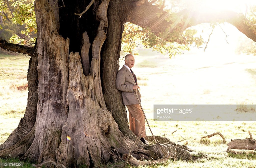 ChrisJack_Getty's tweet photo. Happy Birthday to King Charles III!                   
In this official picture I took, released this morning, The King is pictured under an ancient Oak tree as he becomes The Ranger of this beautiful Park (which looked incredible in the autumnal afternoon light). 🌳 🌲 🦌 https://t.co/P6p5DC9N3t