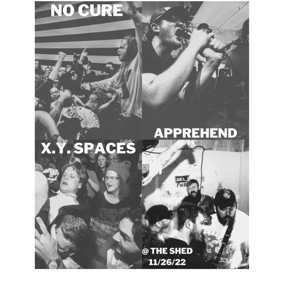 JLukeChesteen's tweet image. Do not fucking forget about @nocurexxx @AlApprehend and @xyspaces throwing down at the shed. All of these bands go hard and each of them are worth ore than $5. Show up!