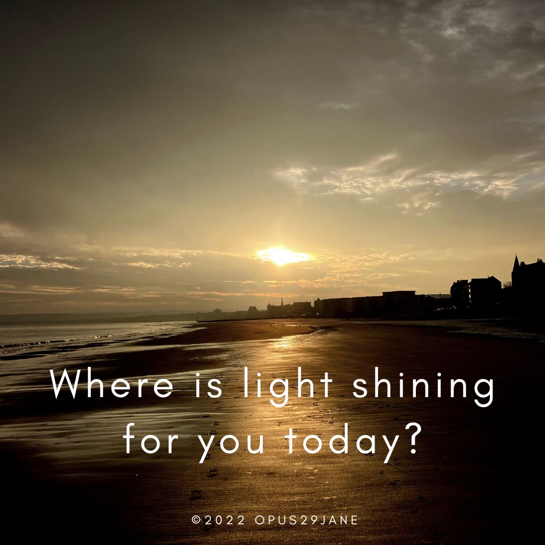 Where is light shining for you this Monday morning? #mondaymotivation #opus29adventure