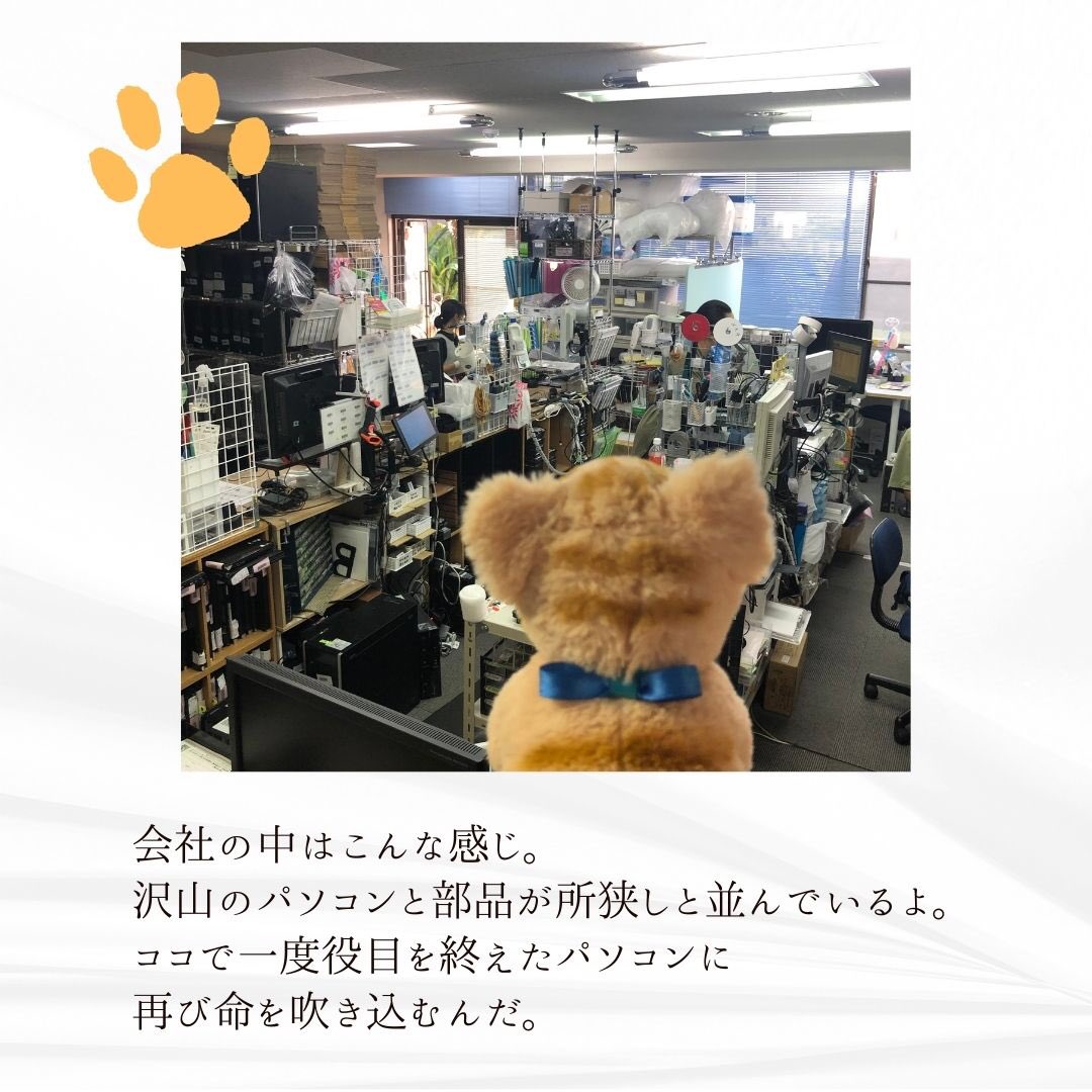 TechEdge_201412's tweet image. TechEdgeのマスコットキャラクターであり、看板猫であり、福招き猫でもあるレビ君をご紹介☆
#pc
#パソコン
#ゲーミング
#リメイクパソコン
#テレワーク
#リモートワーク
#おうち時間
#お家時間
#パソコンのある暮らし
#無駄にしない
#中古パソコン
#茅ヶ崎駅南口
#福招き猫
#看板猫
#猫とパソコン