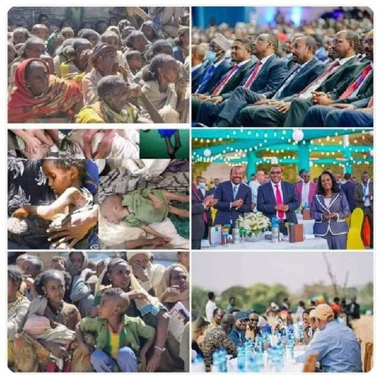 Tigray32392426's tweet photo. a documentaryon the on-going #TigrayGenocide byRomanDebotch is coming to Denver Sunday,November 13! Watchwithus as thefilmgoalis to spread awareness onthecivil war&amp; humanitarian crisis.Allfundswillbe donated!https://t.co/jo6bmCGxNT #2YrsTigrayGenocide #EndTigraySiege @UN @UN_HRC. https://t.co/tYQGeeNICN