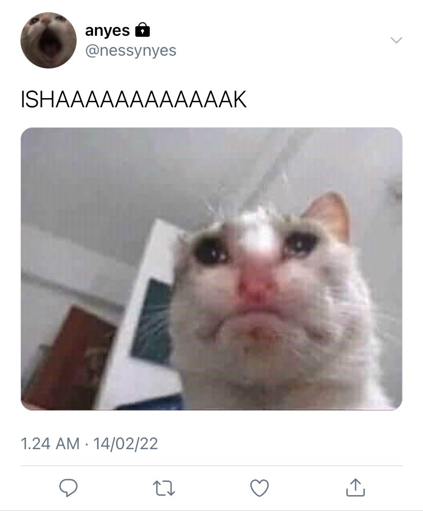 noaprile's tweet image. 253