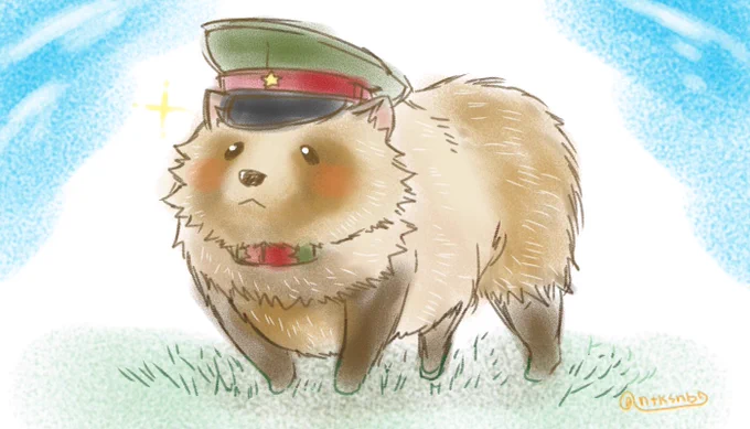 エゾタヌキ将校殿〜!