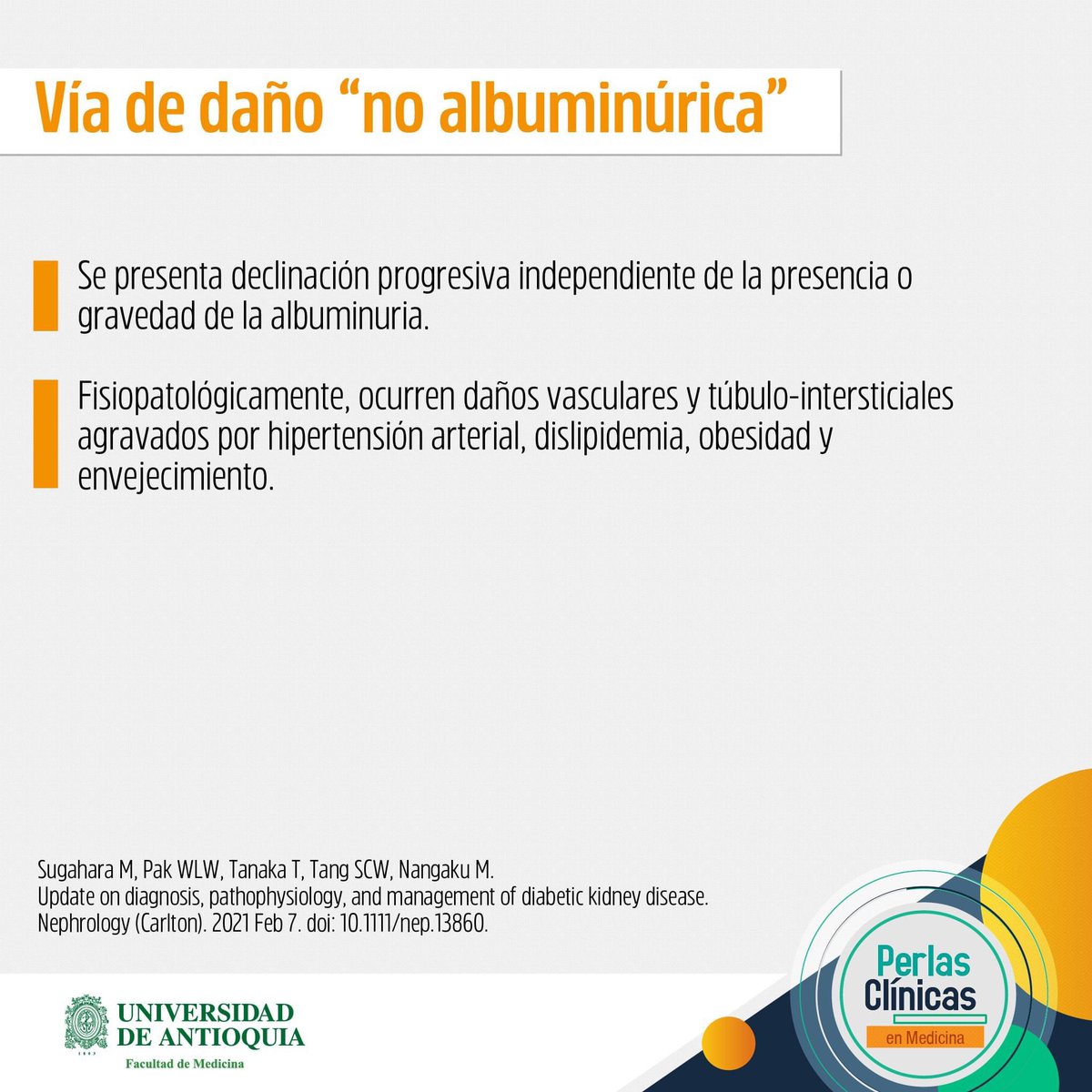 MedUdeACiencia's tweet photo. Perlas Clínicas: Riñón y diabetes. Fisiopatología, diagnóstico y tratamiento (1/3) https://t.co/33awKITzjt