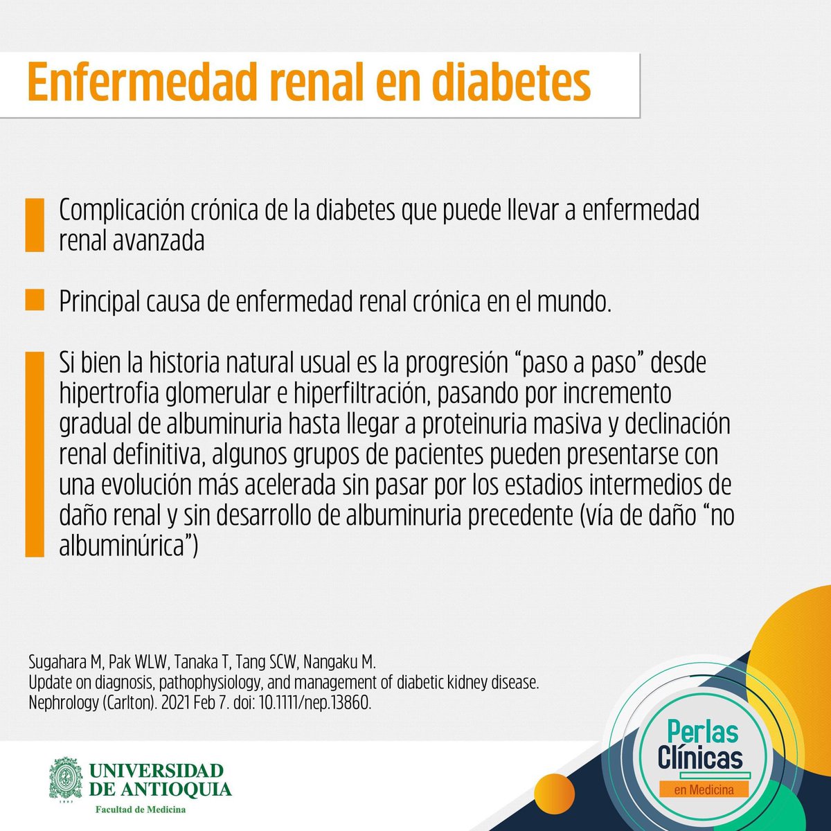MedUdeACiencia's tweet photo. Perlas Clínicas: Riñón y diabetes. Fisiopatología, diagnóstico y tratamiento (1/3) https://t.co/33awKITzjt