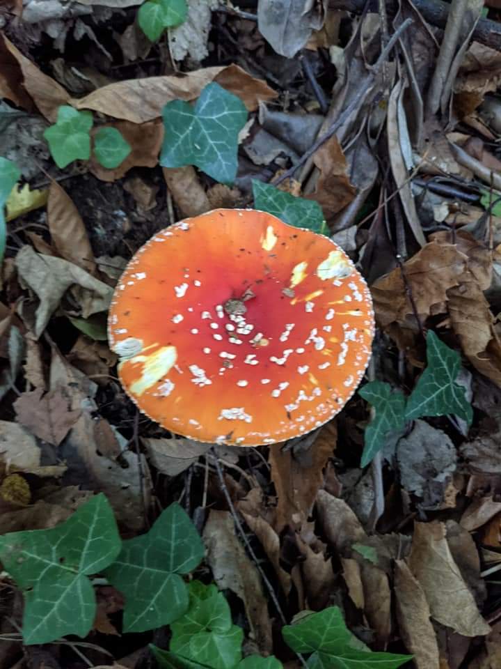 Estates Department tweet media