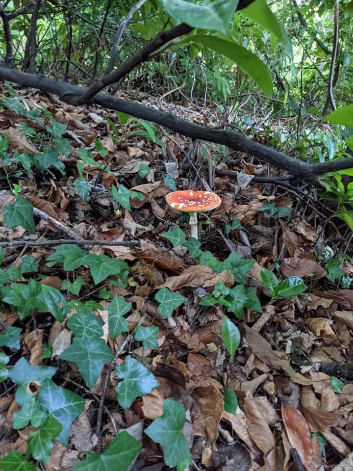 Estates Department tweet media