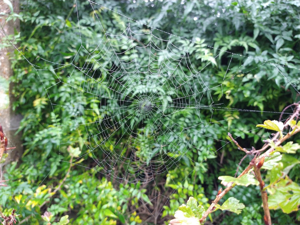 Autumn days! (Finally)

Those of us that are still around are hunkering down for the winter now. See you next spring!