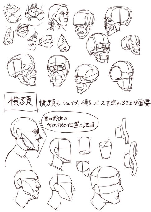 練習50日目
マイケル・ハンプトンの人体の描き方の模写 