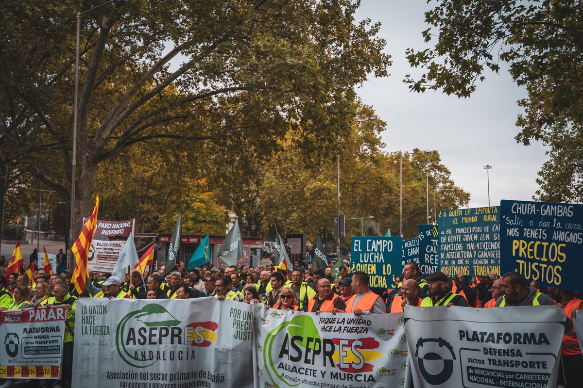 solidaridad_esp's tweet photo. Lo trabajadores no pueden aguantar ni un segundo más este Gobierno.

Hoy, hemos salido junto a transportistas, agricultores y ganaderos, colectivos asfixiados y arruinados por las nefastas decisiones políticas.

El próximo 19N y 27N salimos a la calle en Barcelona y Madrid.🔥 https://t.co/TvhqZ0J2Fb
