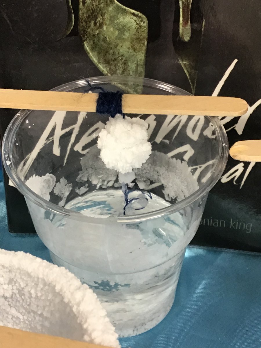 Hunslet Moor Primary School_Year 5 tweet media