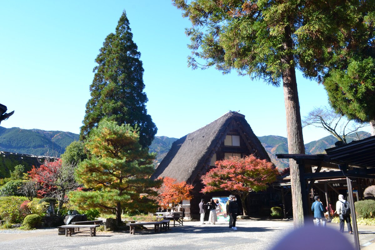 ka_sw1122's tweet photo. 有給を使って車中泊下呂温泉の旅！合掌村はちょうど紅葉が綺麗なタイタイミングでした。カメラをもっと使いこなしたい… https://t.co/bYYk7HQojb