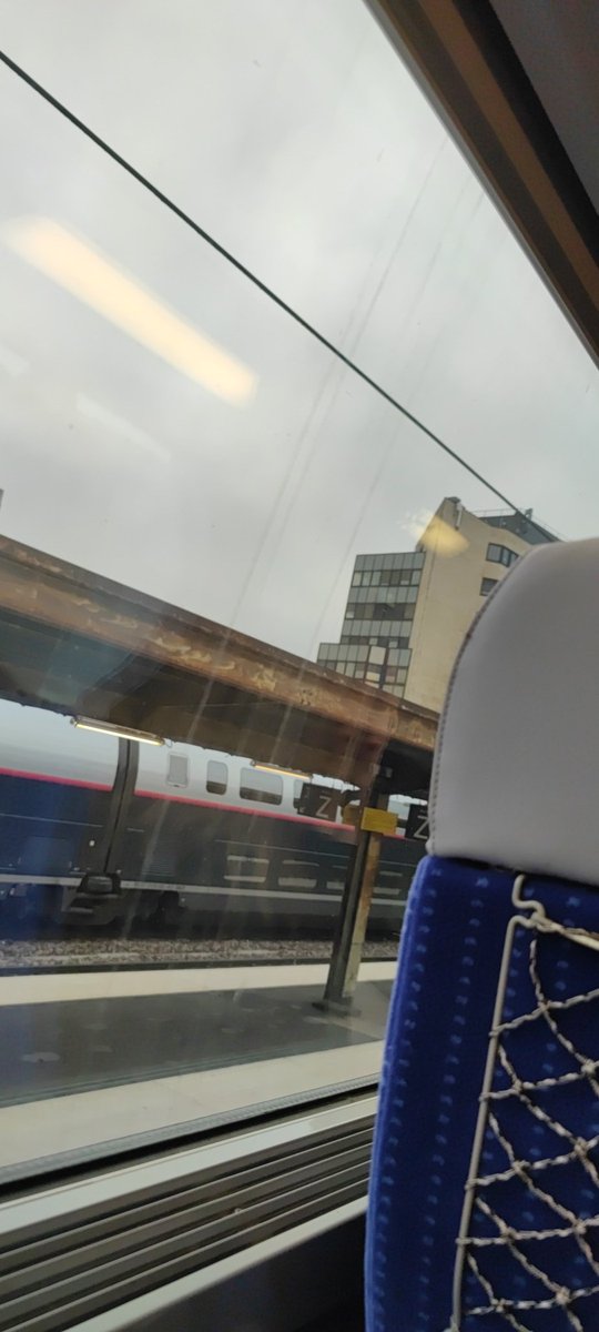 Zonzii ❄️ tweet media