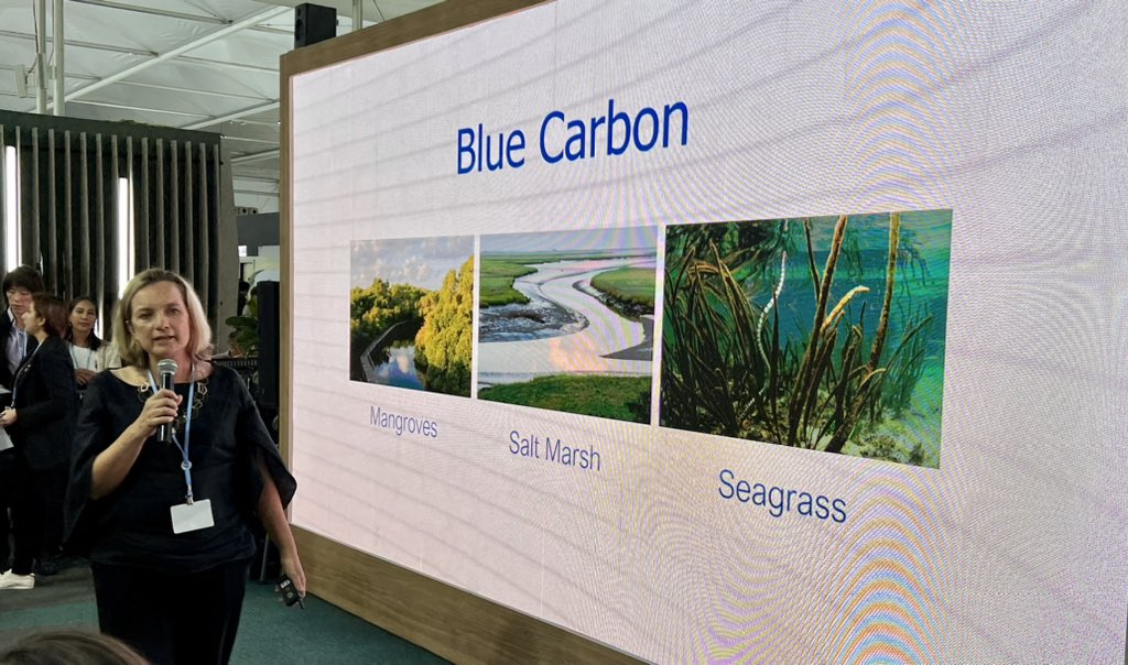 Megan Morikawa tweet media